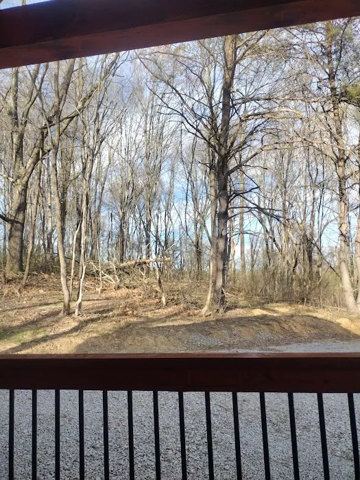 Moose Dreams cabin Picture 2