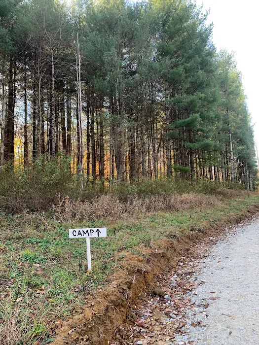 Dry Creek Pines Picture 3