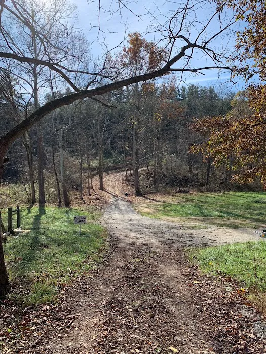 Dry Creek Pines Picture 1