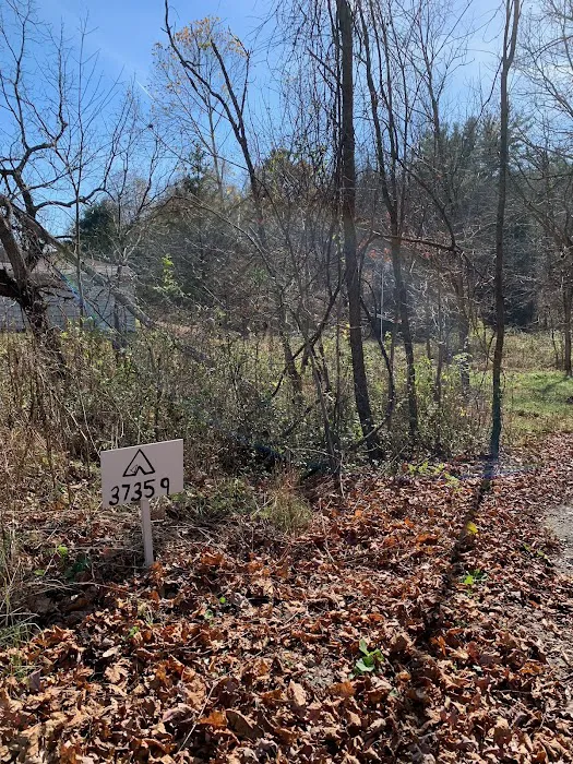 Dry Creek Pines Picture 4