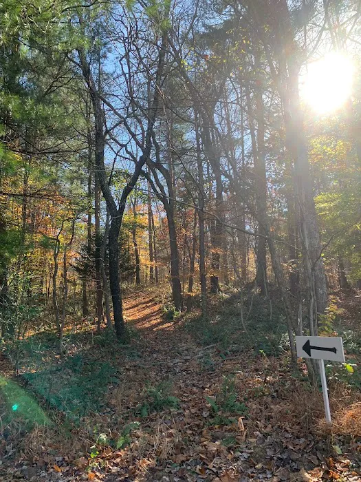 Dry Creek Pines Picture 5