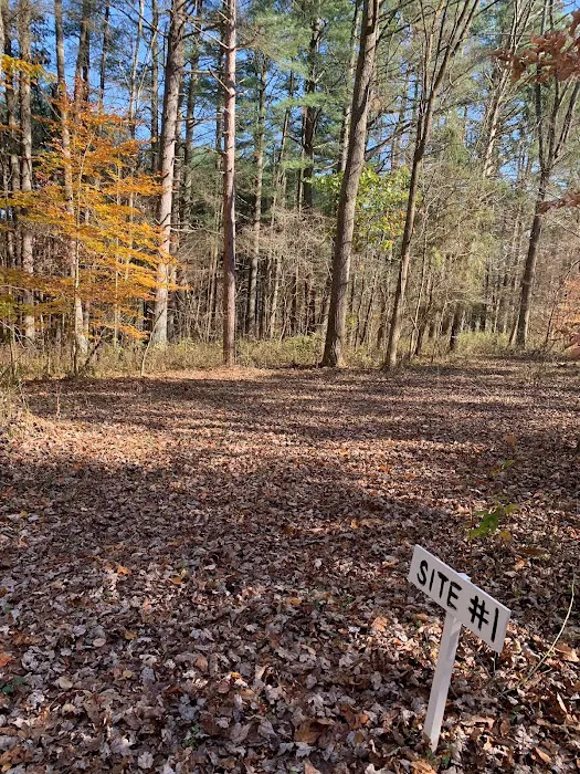 Dry Creek Pines Picture 7