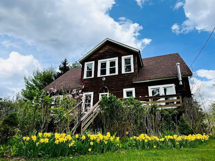 Baber Mountain Retreat Picture 5