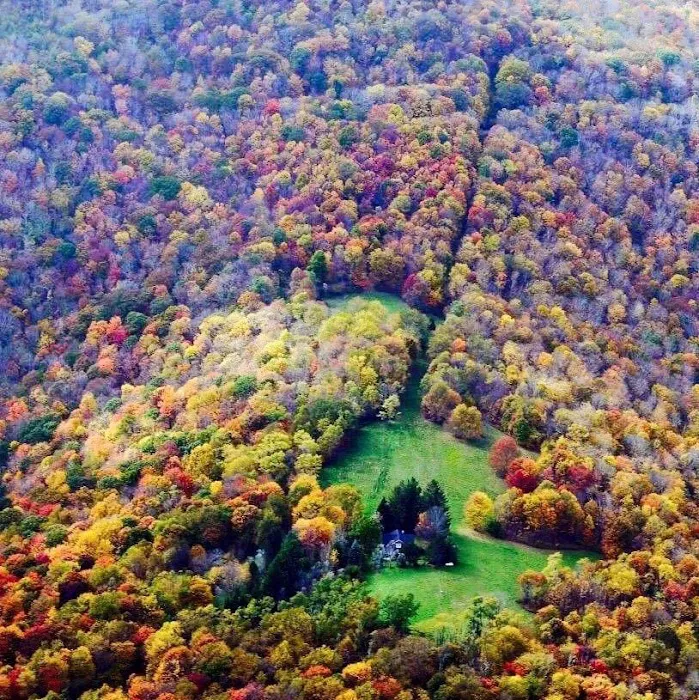 Baber Mountain Retreat Picture 7