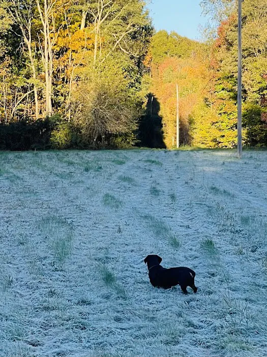 Baber Mountain Retreat Picture 9