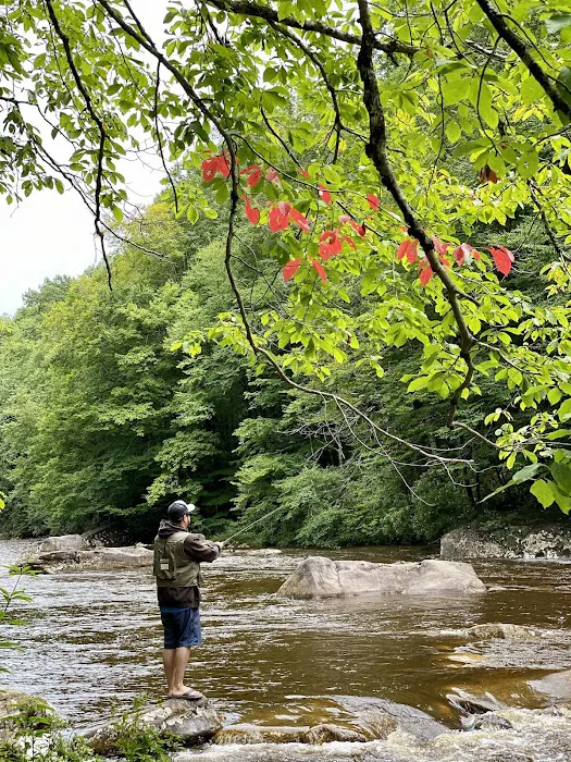 Baber Mountain Retreat Picture 1