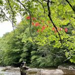 Baber Mountain Retreat