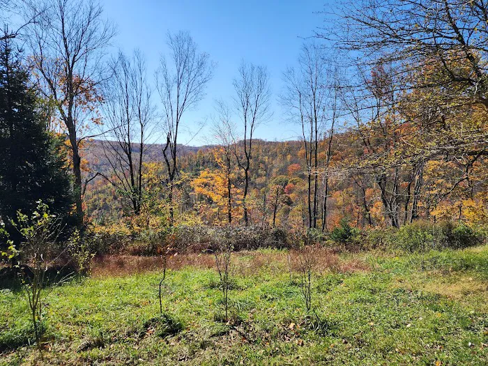 Baber Mountain Retreat Picture 4