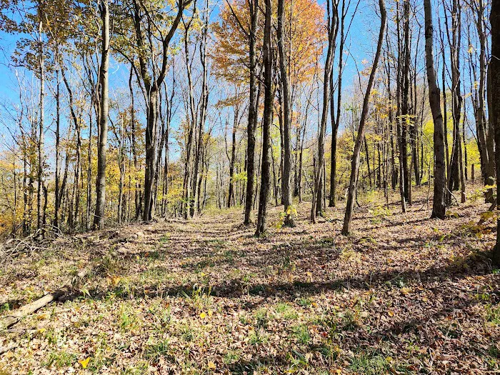 Baber Mountain Retreat Picture 6