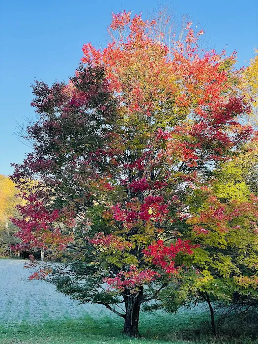 Baber Mountain Retreat Picture 8