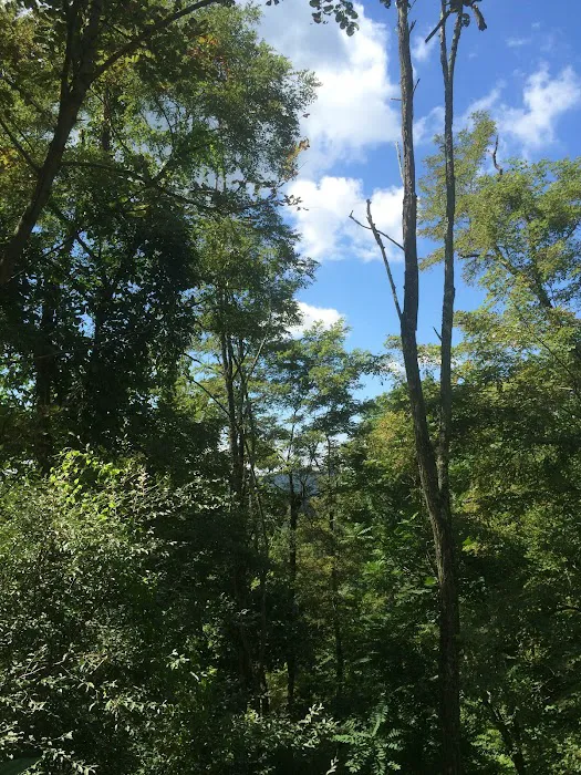 Gauley River Wild & Woolly Primitive Campground Picture 7