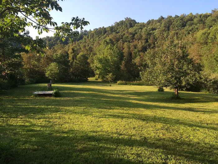 Gauley River Wild & Woolly Primitive Campground Picture 3