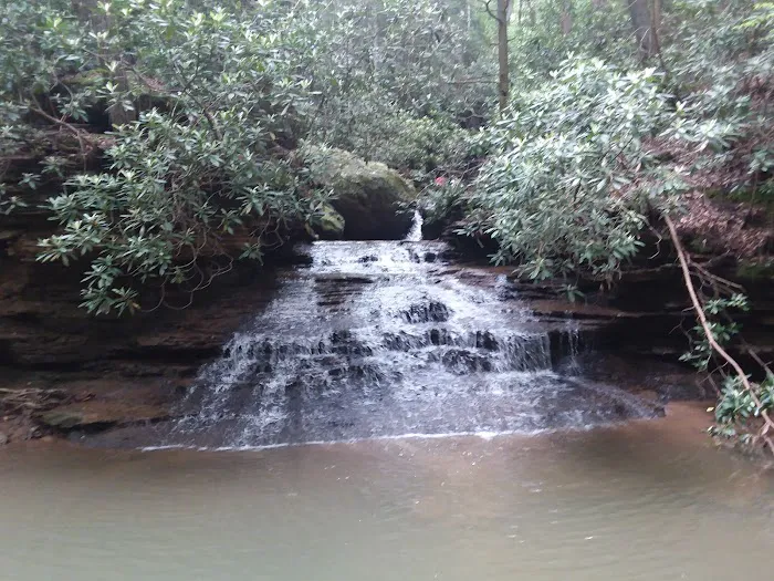 Gauley River Wild & Woolly Primitive Campground Picture 5