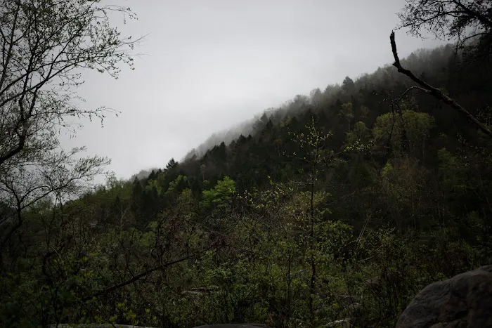 Tawney Farm, LLC Picture 1