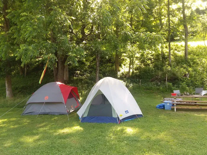 Tawney Farm, LLC Picture 6