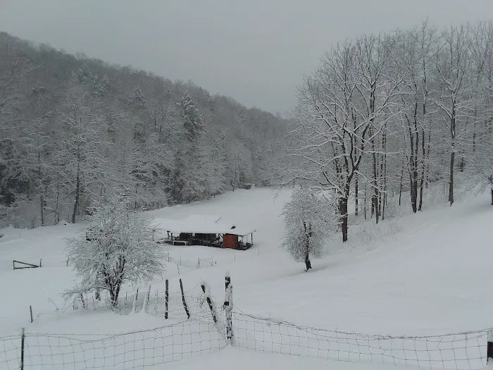 Tawney Farm, LLC Picture 4