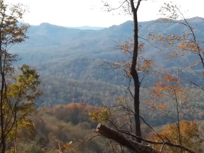 Tawney Farm, LLC Picture 5