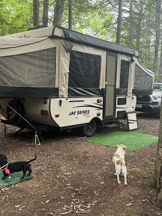 Wilderness Campground Picture 2