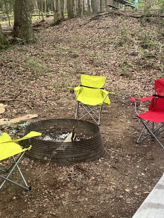 Wilderness Campground Picture 4