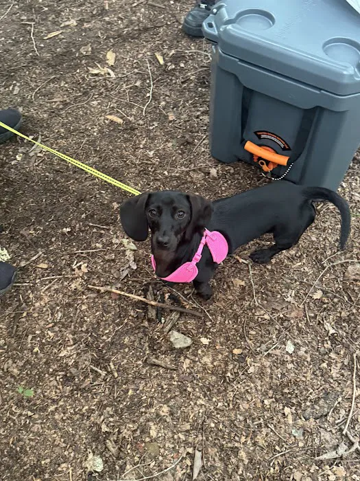 Wilderness Campground Picture 5