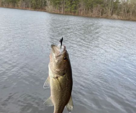 The Shores at Beacon House