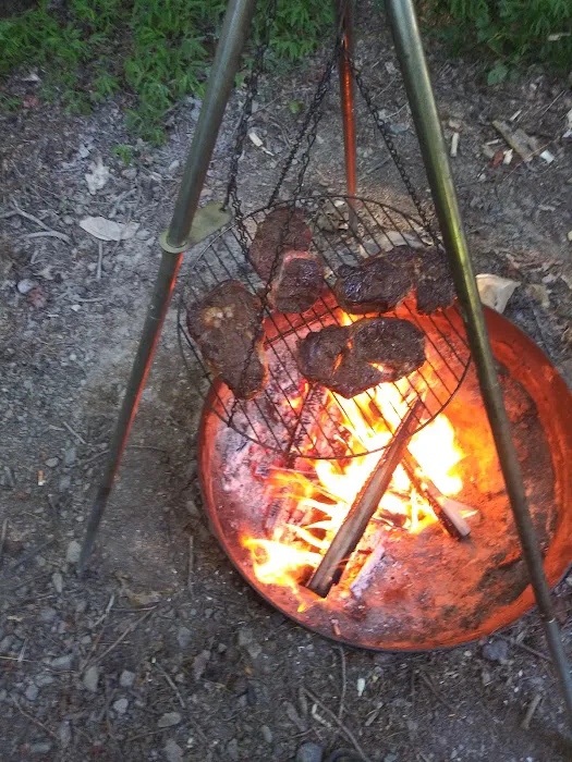 Lake Reidsville Park Picture 7