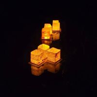 Lake Reidsville Park ico