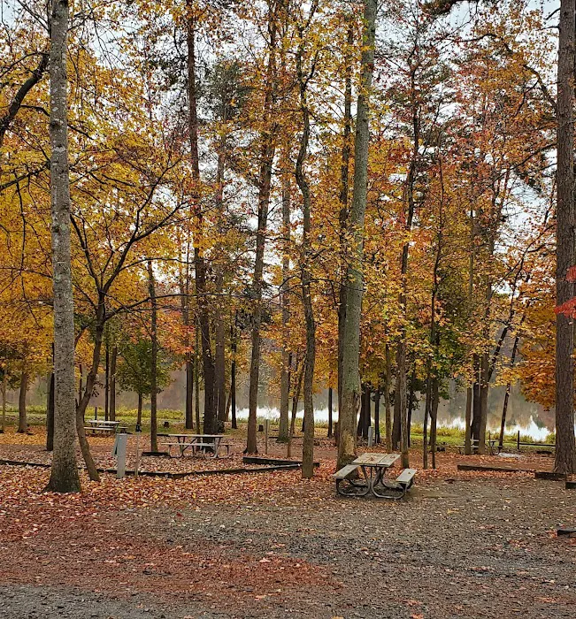 Lake Reidsville Park Picture 8