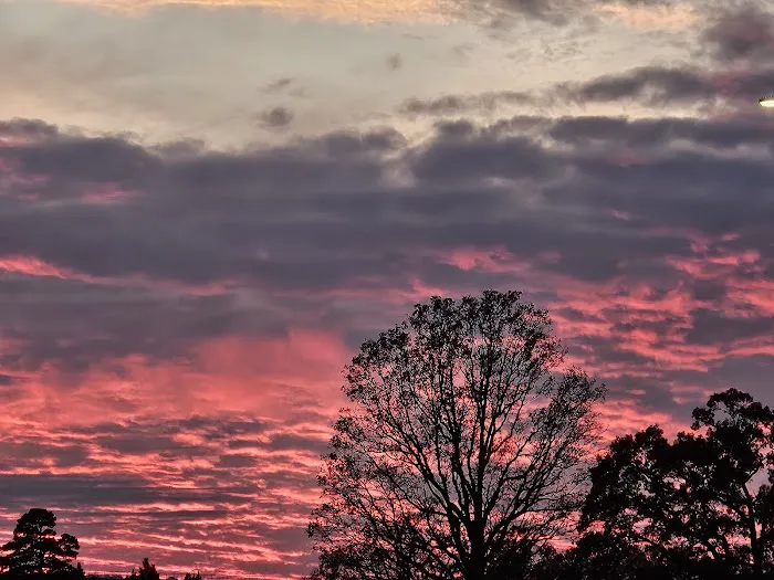 Walmart Distribution Picture 3