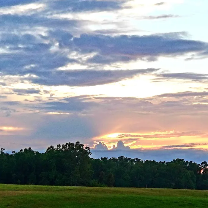 Walmart Distribution Picture 10