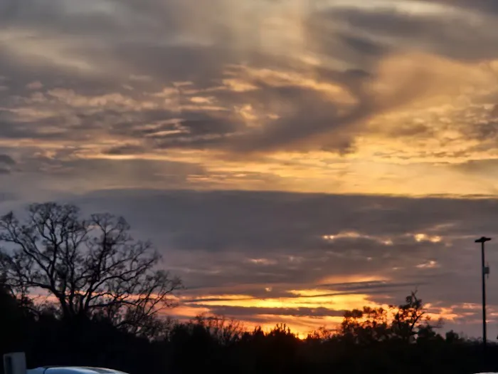 Walmart Distribution Picture 2