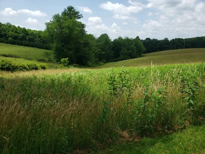 Panther Creek Campground Picture 8