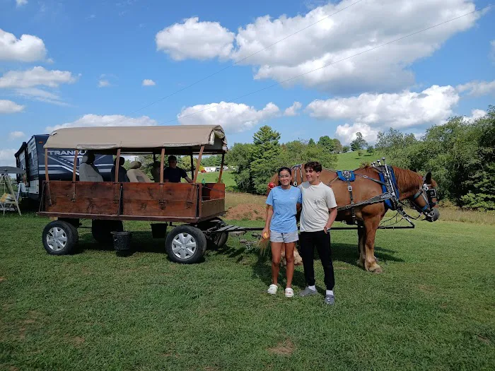 Panther Creek Campground Picture 2