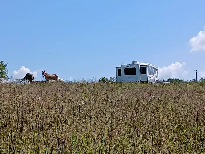 Panther Creek Campground Picture 6