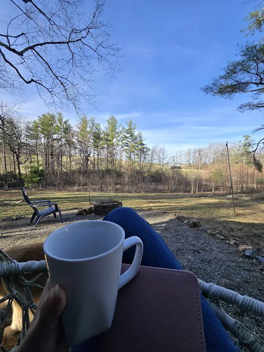 The Glamping Domes Picture 8