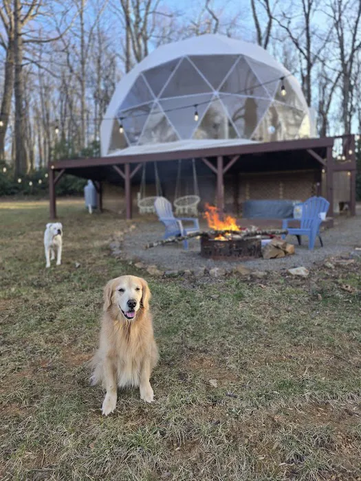 The Glamping Domes Picture 4