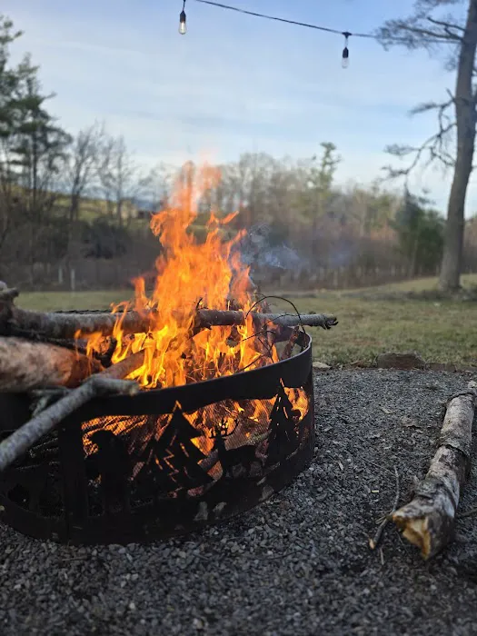 The Glamping Domes Picture 7