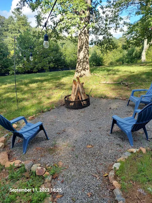 The Glamping Domes Picture 3