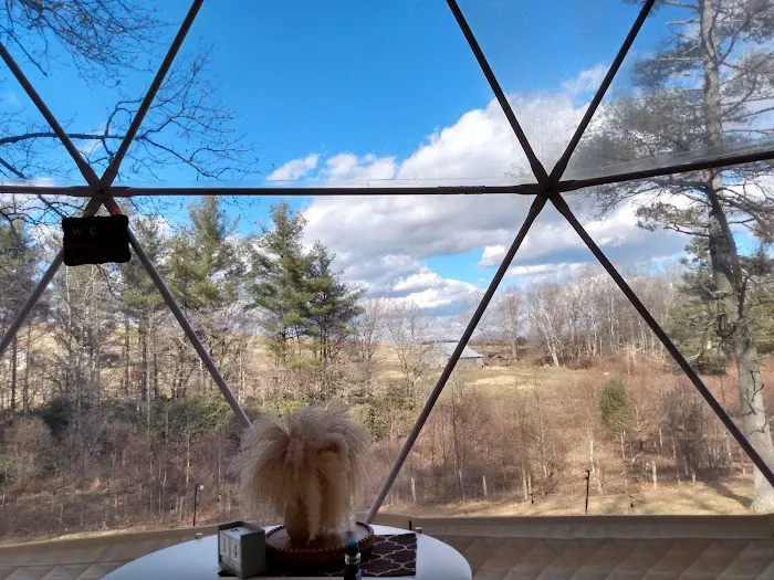 The Glamping Domes Picture 5