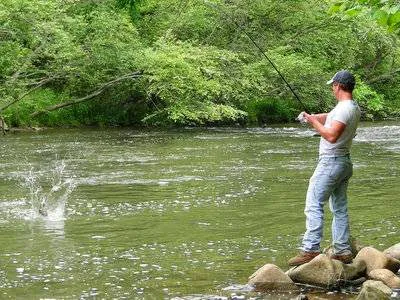 Jessup Mill Picture 9