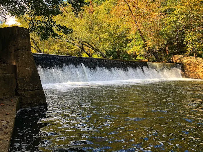 Jessup Mill Picture 5