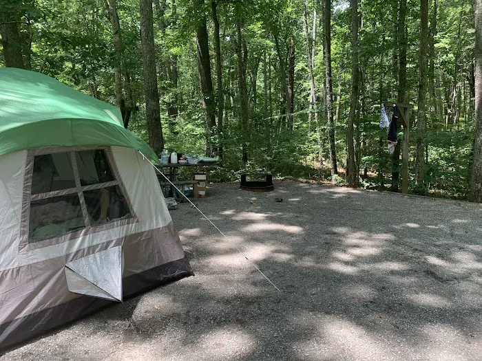Claytor Lake State Park Campground Picture 5