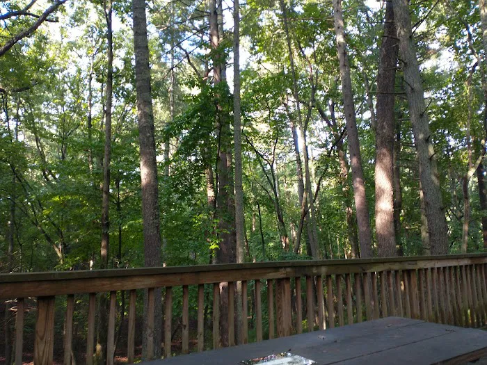 Claytor Lake State Park Campground Picture 10