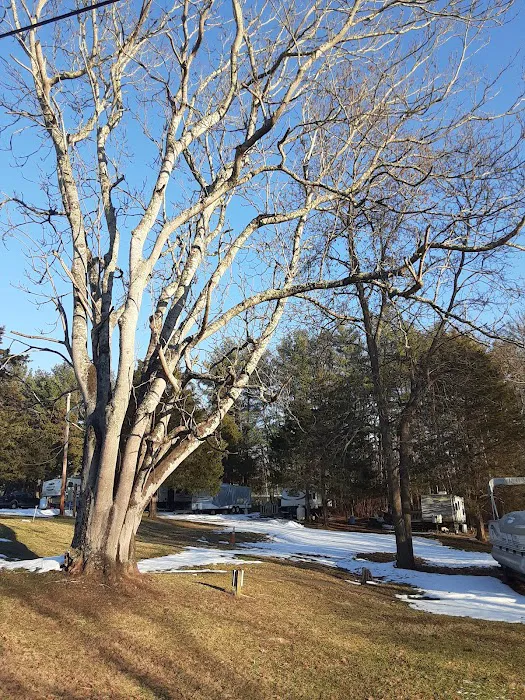 McGuire Family Campgrounds Picture 6