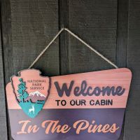 A Frame Cabin In The Pines 🌲 ico
