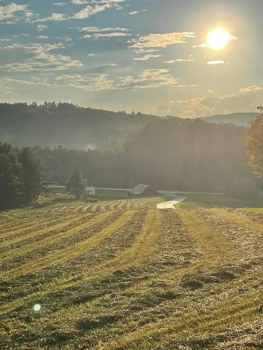 Utt's Mountaintop Campground @ Fancy Gap Picture 8
