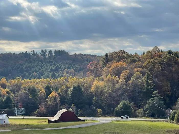 Utt's Mountaintop Campground @ Fancy Gap Picture 3