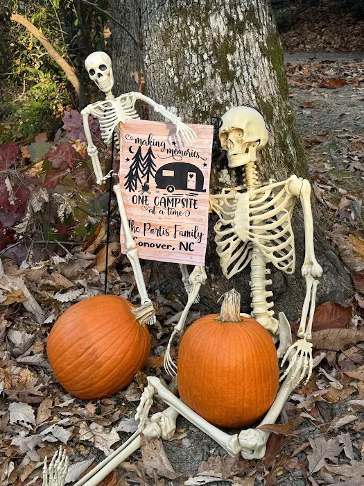 Fancy Gap / Blue Ridge Parkway KOA Journey Picture 8