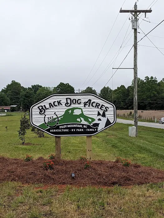 Black Dog Acres RV Park Picture 9
