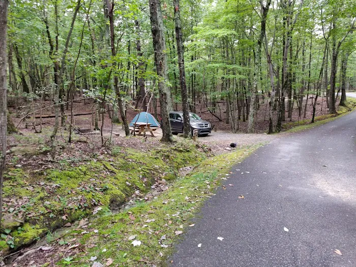 Hanging Rock State Park Campground Picture 3